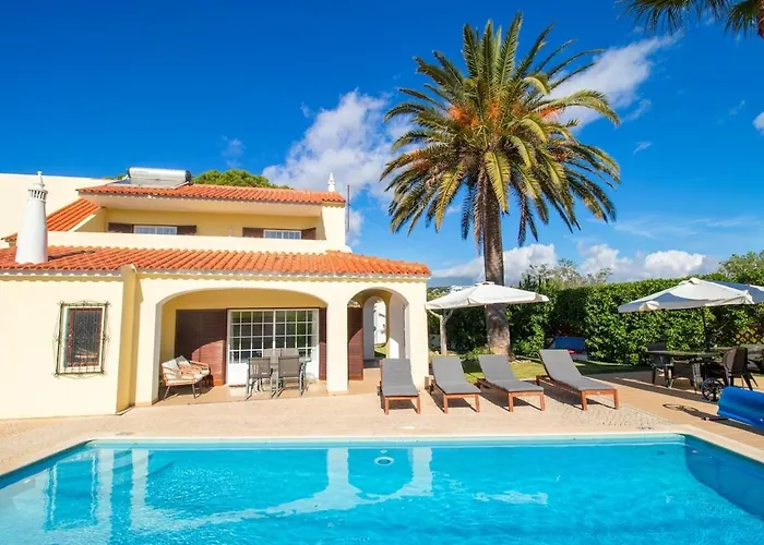 Angelica - Cozy فيلة *